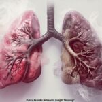 An impactful image showing healthy and damaged lungs, highlighting the consequences of smoking.